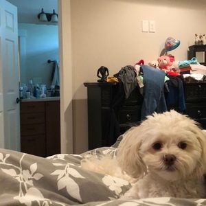 Meet your Posher, Tara